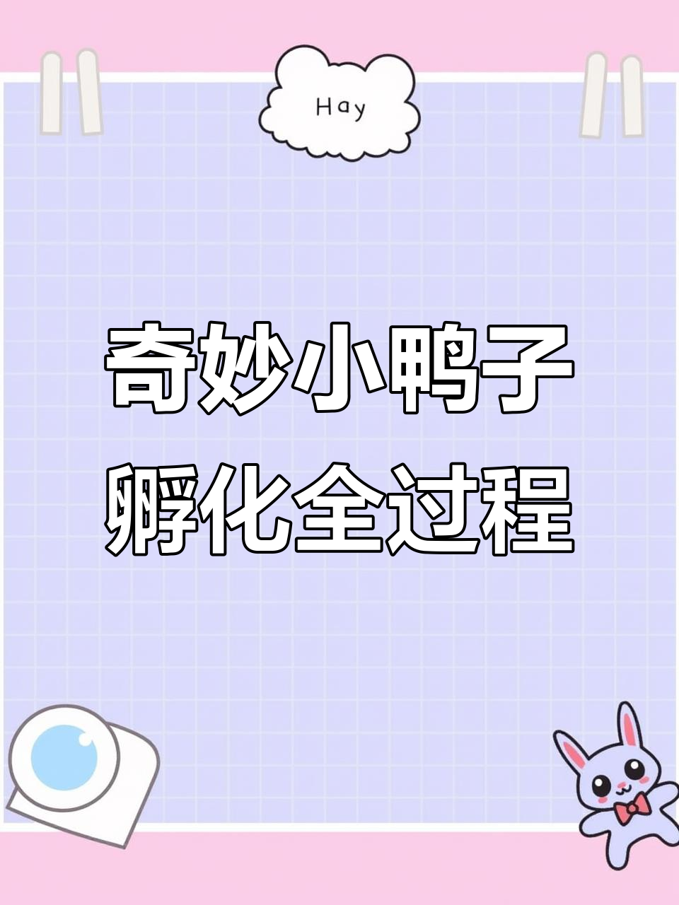 小鸭子的生命奇迹：从蛋壳到羽翼丰满的成长过程