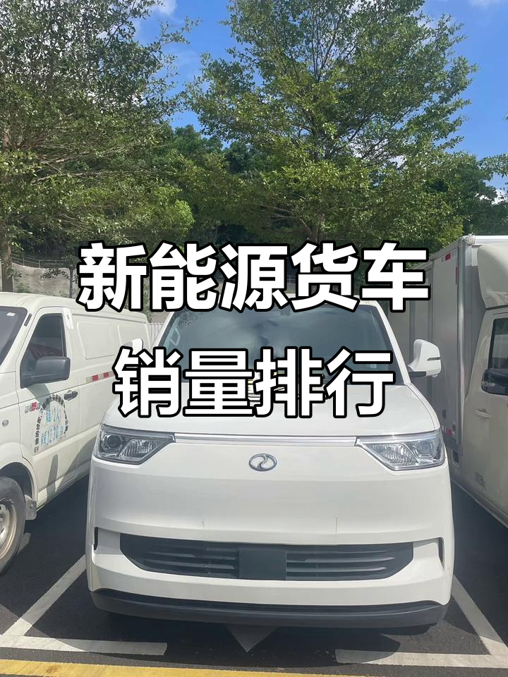 新能源货运面包车销量榜,谁是老大?