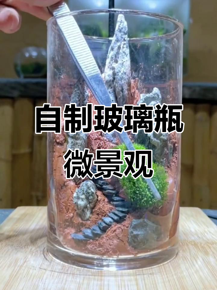 玻璃瓶微景观制作:从山石到苔藓,打造迷你自然世界
