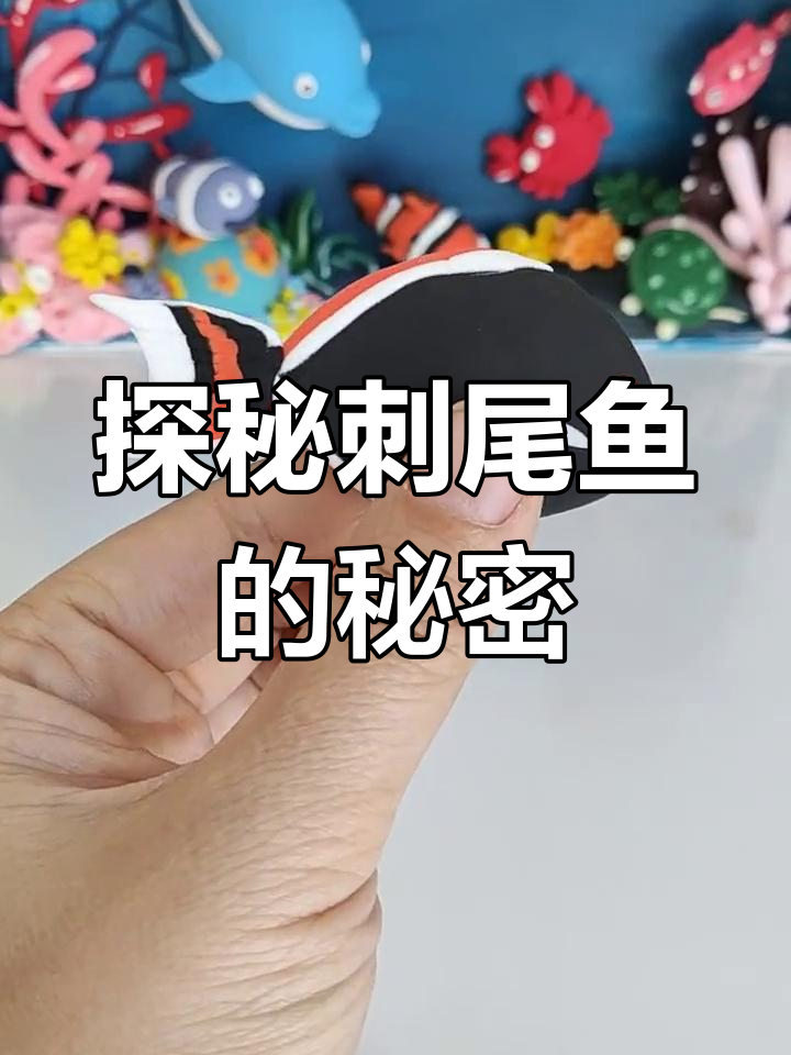 刺尾鱼:美丽却危险的海洋生物,了解它们的独特特征