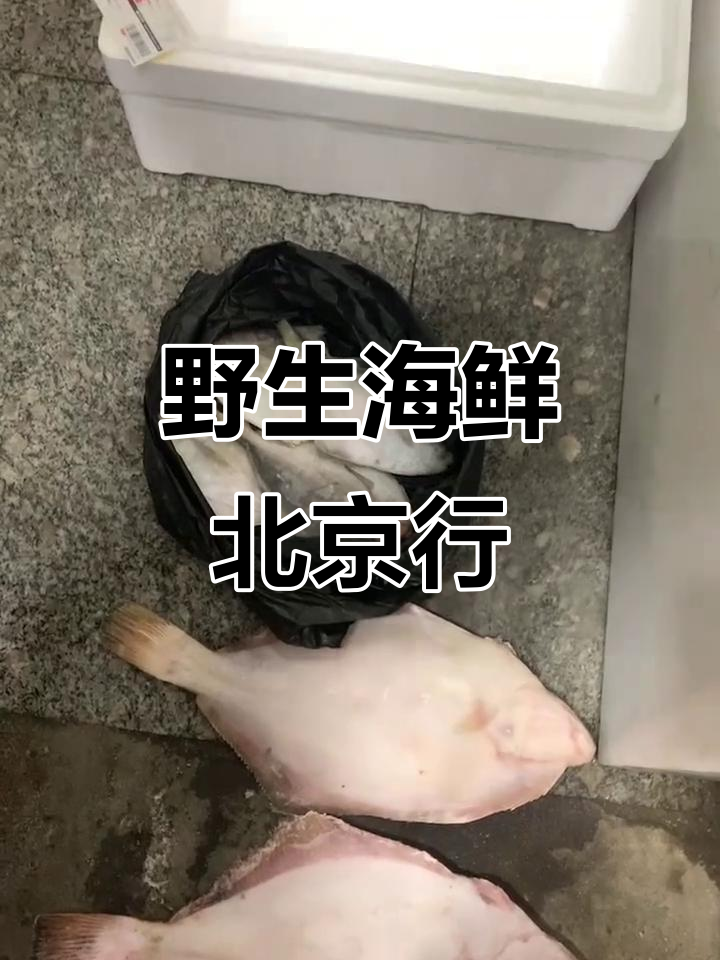 北京野生大虾、塔目鱼和偏口鱼,过年必吃美味