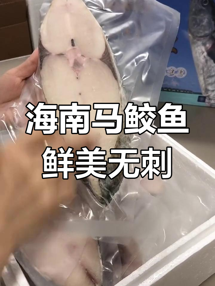 正宗海南马鲛鱼,肉多刺少,香煎红烧都美味