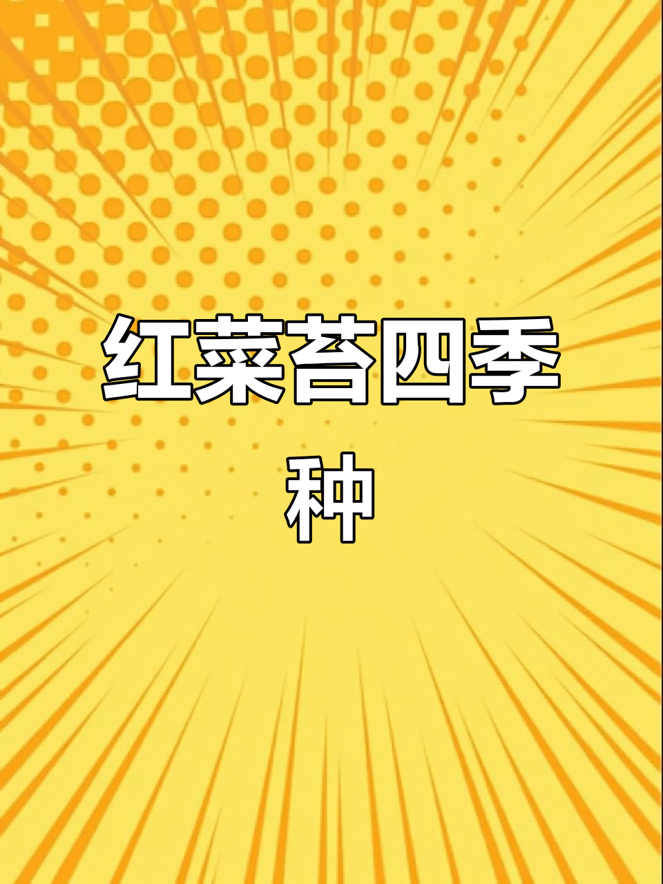 7月四季种植,红菜苔轻松发芽,阳台盆栽也能活!