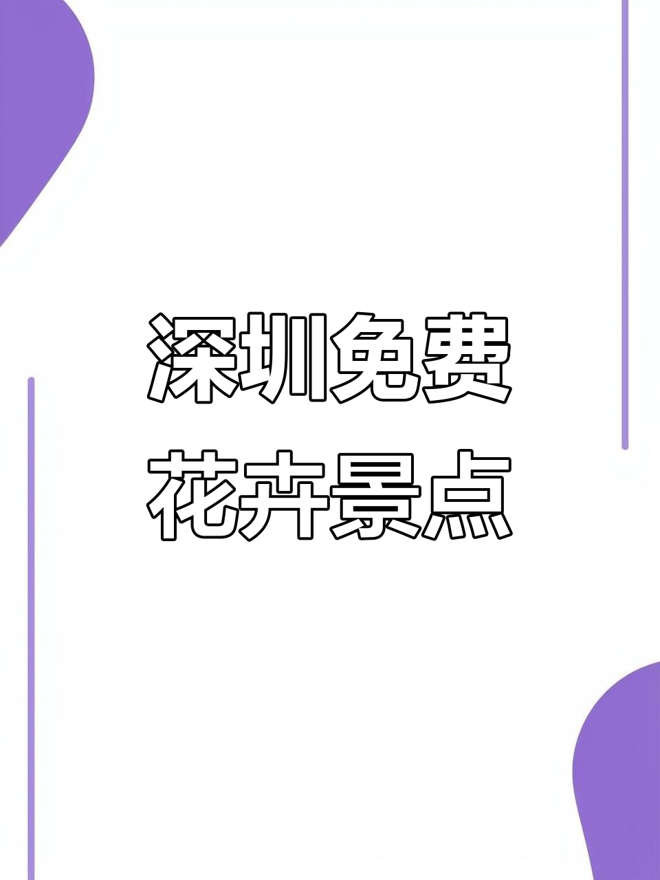 深圳周末免费赏花地，油菜花花海与水稻田相伴