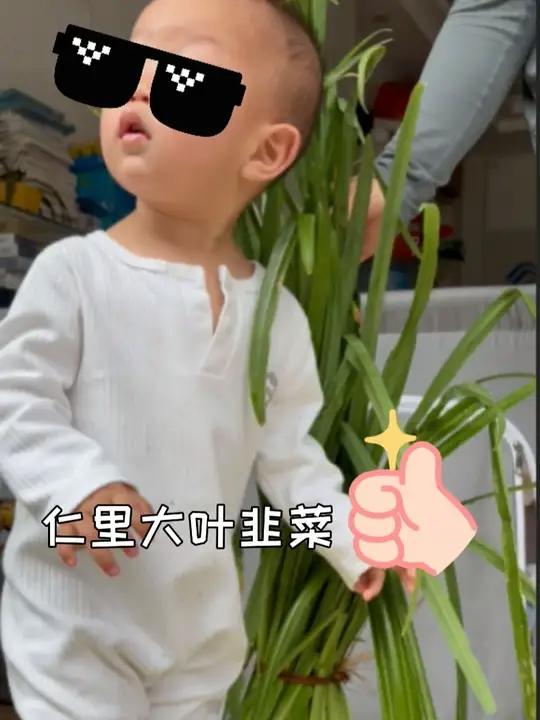 天啦噜见过韭菜，没见过比小孩还高的韭菜！这一把你觉得能炒几盘鸡蛋？贵州榕江 榕江仁里 仁里