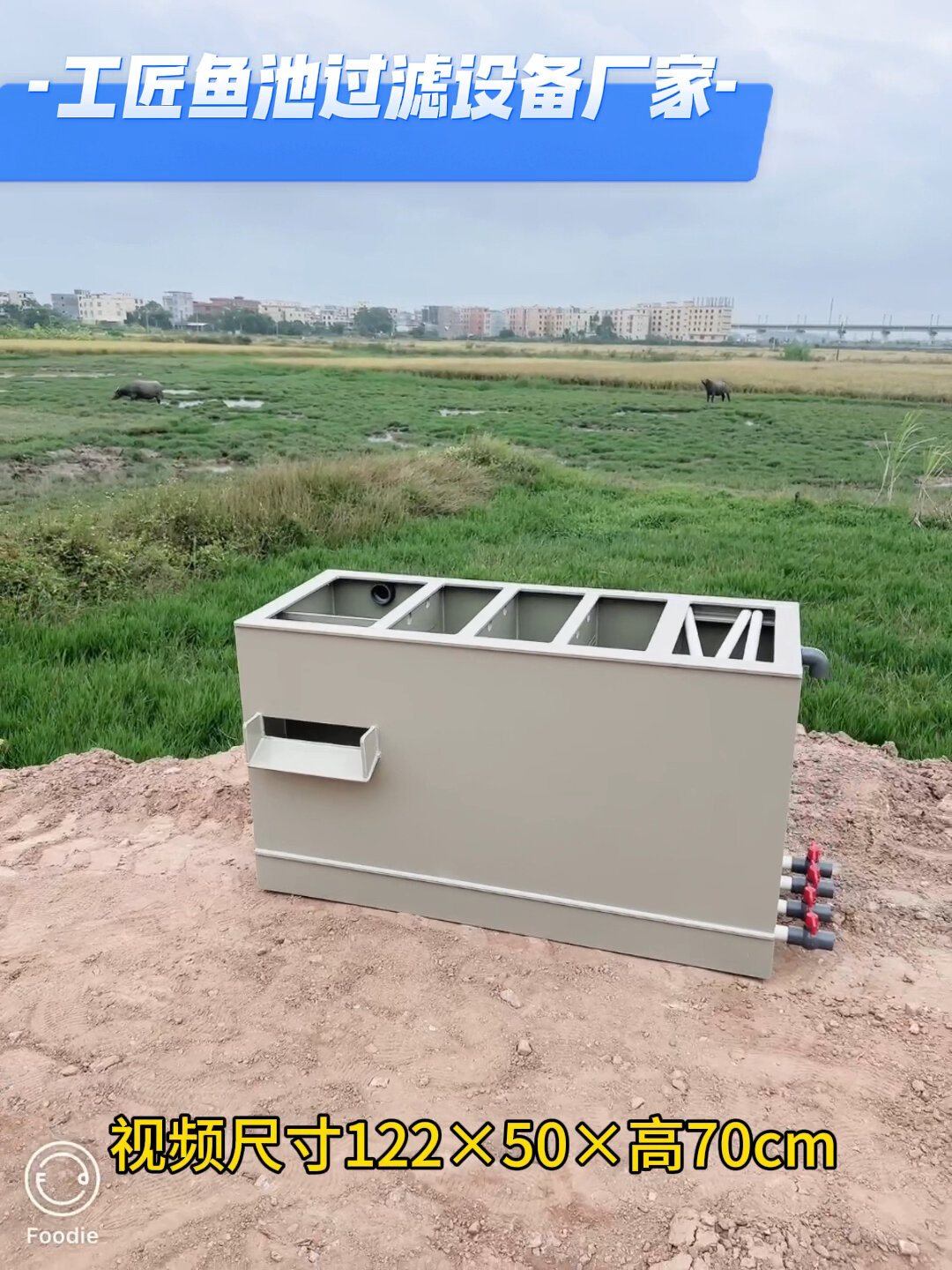 一款能满足您所有需求的庭院鱼池过滤箱