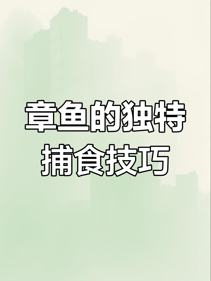 拟态章鱼捕食全过程,聪明又美丽