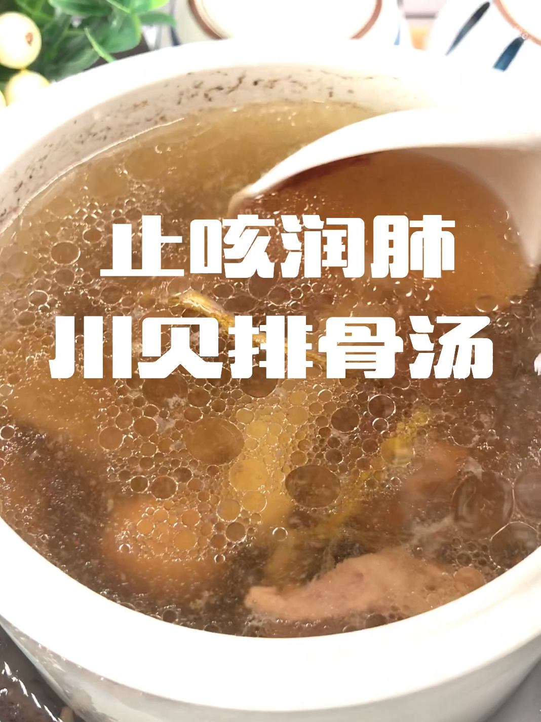 止咳润肺|川贝排骨汤