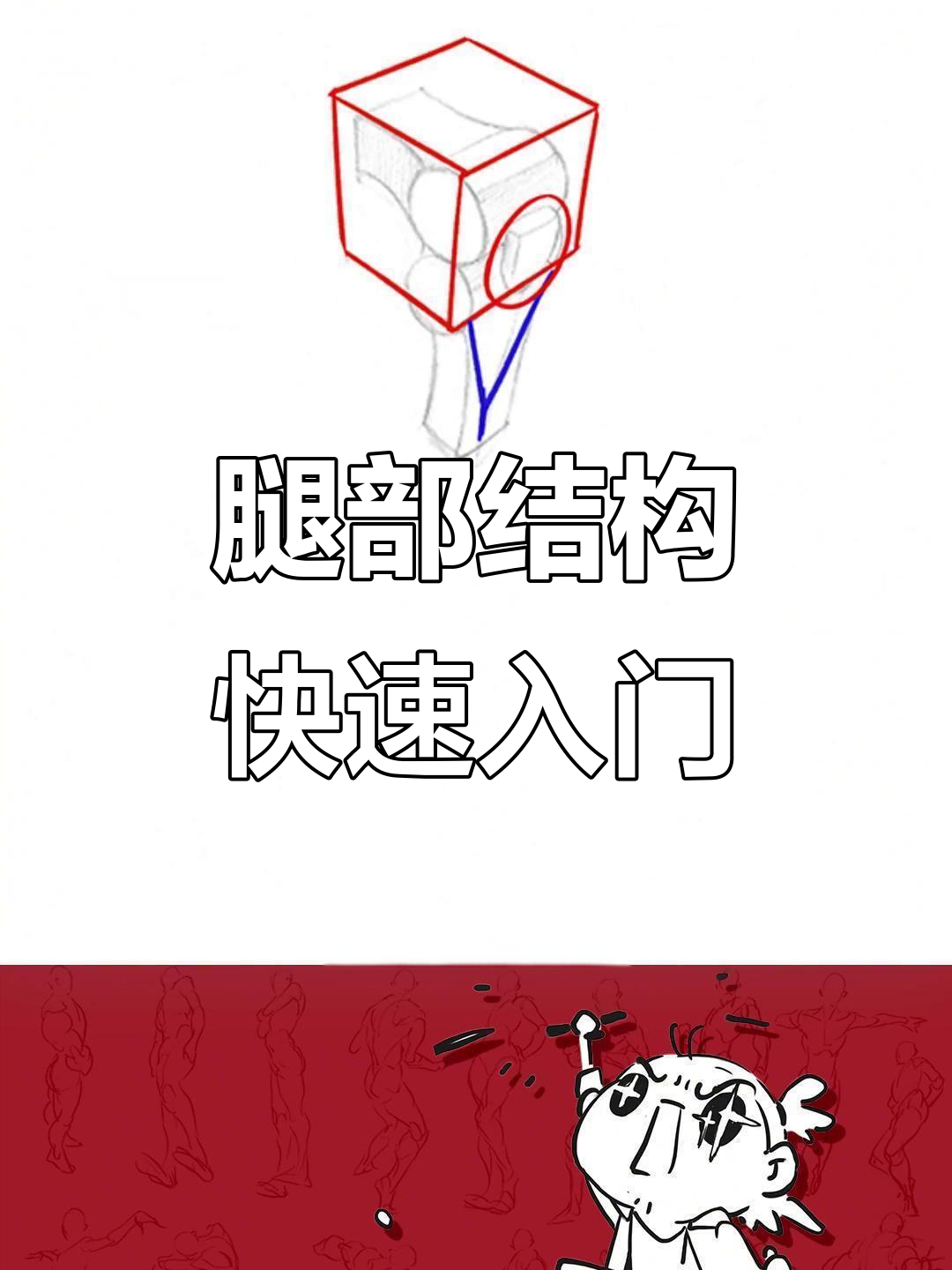 腿部肌肉结构解析,轻松掌握人体绘制技巧