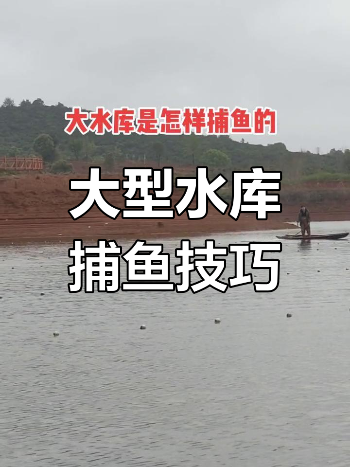 大型水库捕鱼揭秘:如何用网赶大头鱼?