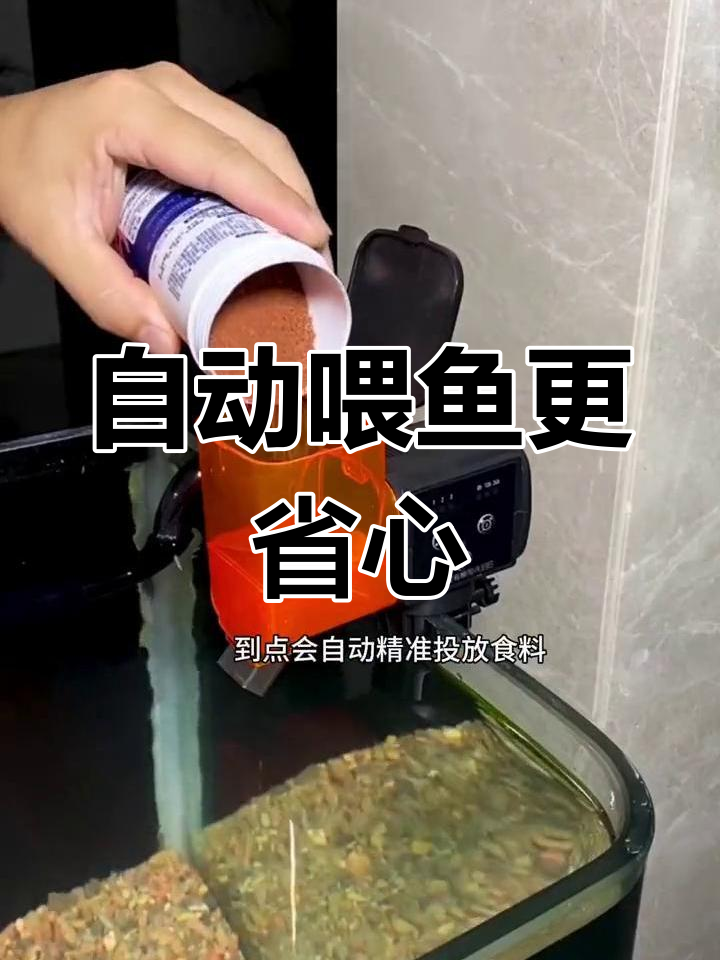 鱼缸自动喂食器,定时精准投料