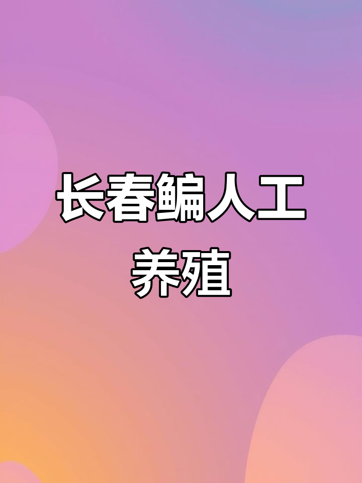 鳊鱼人工养殖尝试,野生长春鳊面临挑战