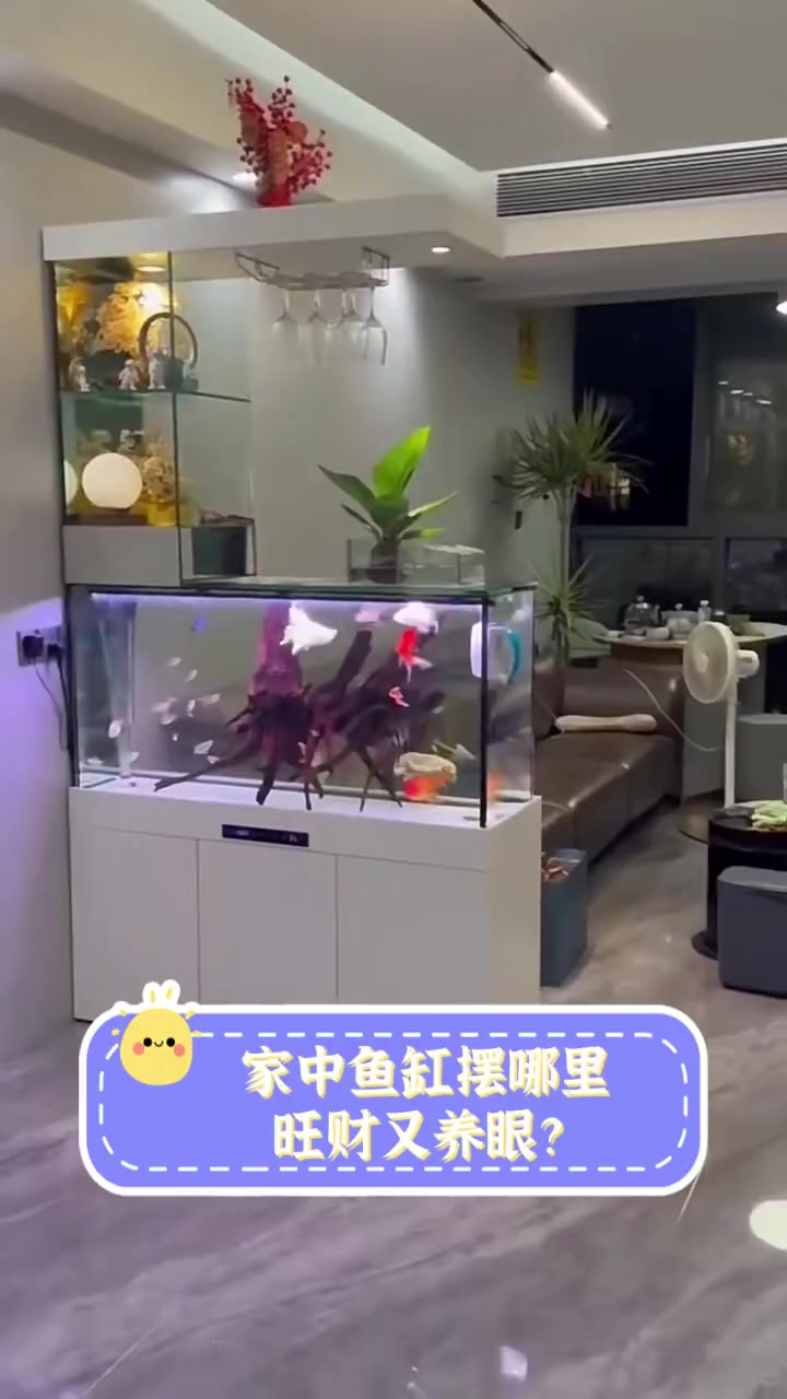 家中鱼缸摆哪里,旺财又养眼?