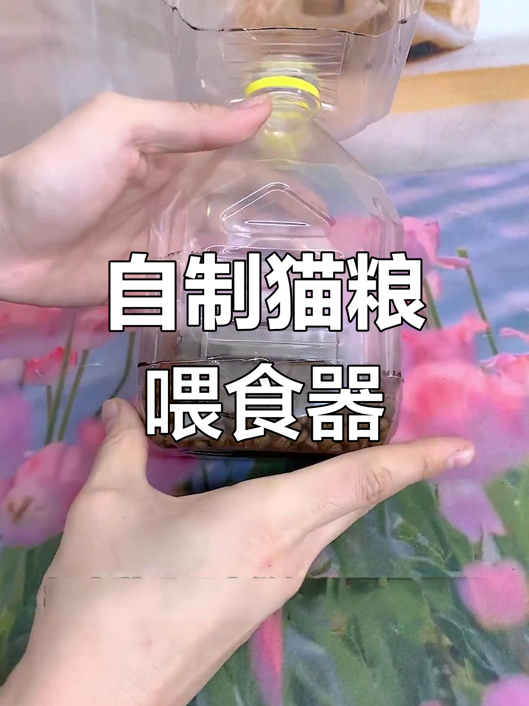 零成本自制猫咪喂食器,轻松搞定!