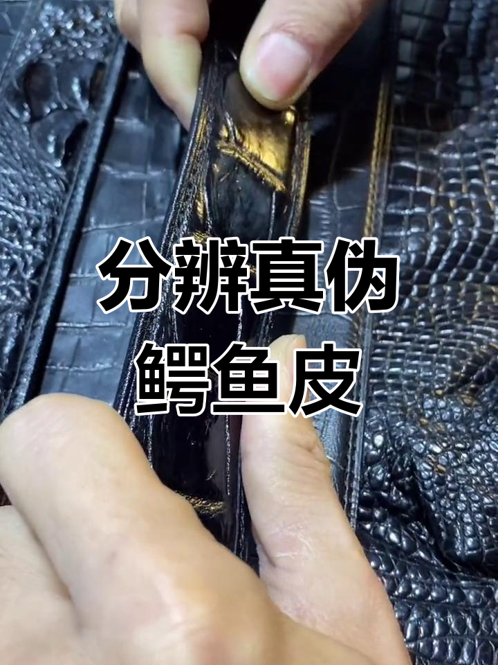 如何辨别真假鳄鱼皮