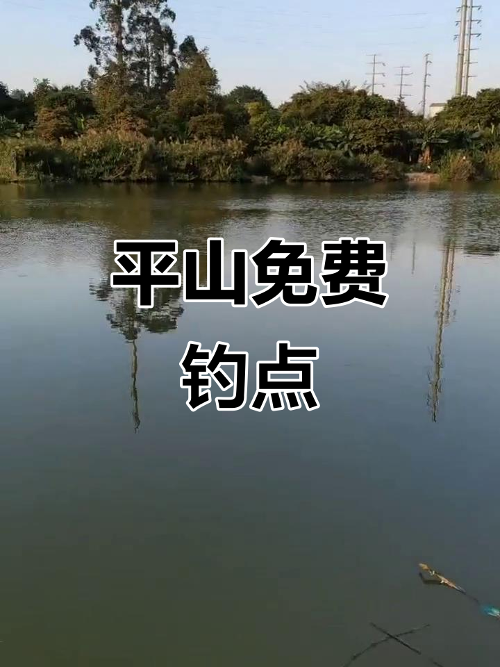 深圳坪山免费钓点,淡水河钓鱼好去处