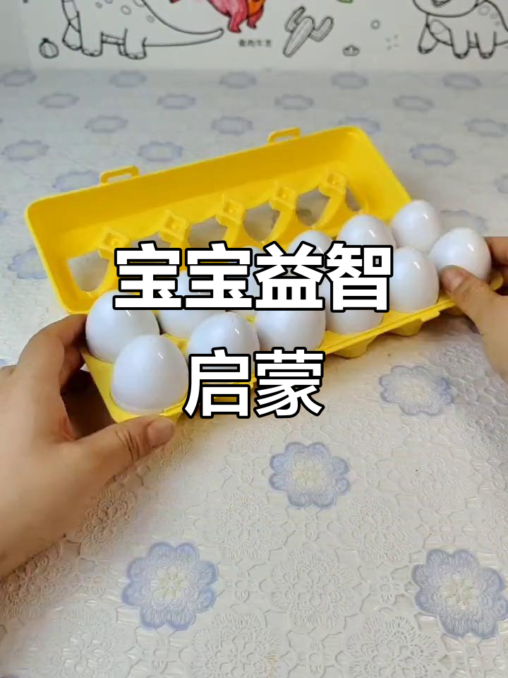鸡蛋盒玩具,激发宝宝智力与专注力