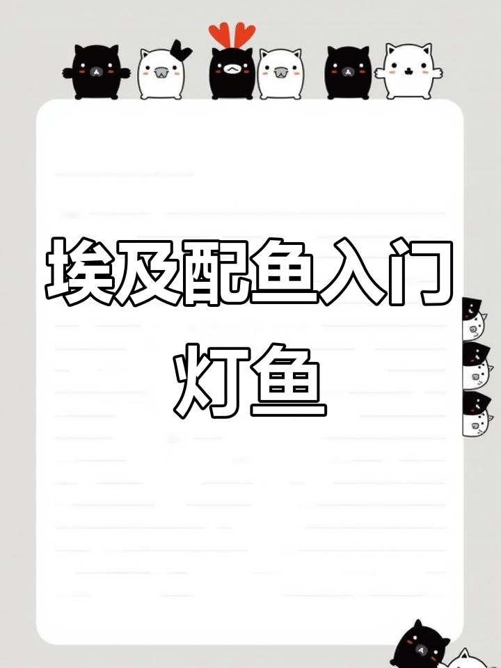 埃及神仙鱼混养推荐:灯鱼的温热带环境与选择技巧
