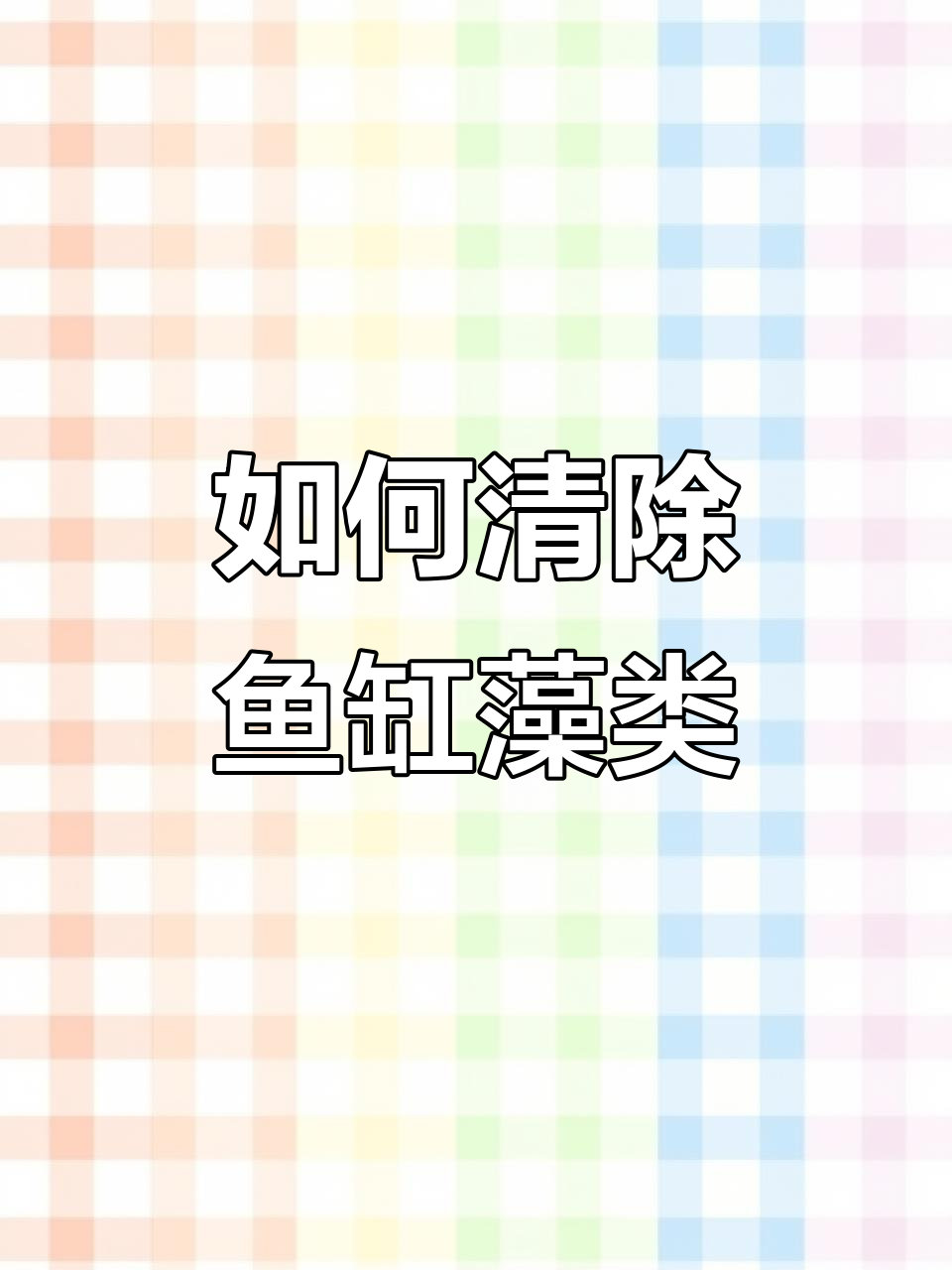 鱼缸藻类清理不彻底？教你正确刮除方法