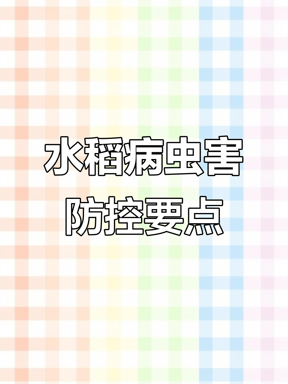虾稻共作模式下的水稻病虫防治技巧，关键时间点不容错过