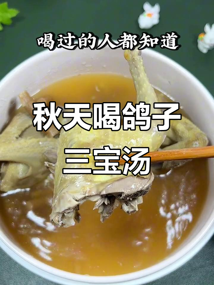 秋季滋补鸽子汤,三宝炖法让你元气满满
