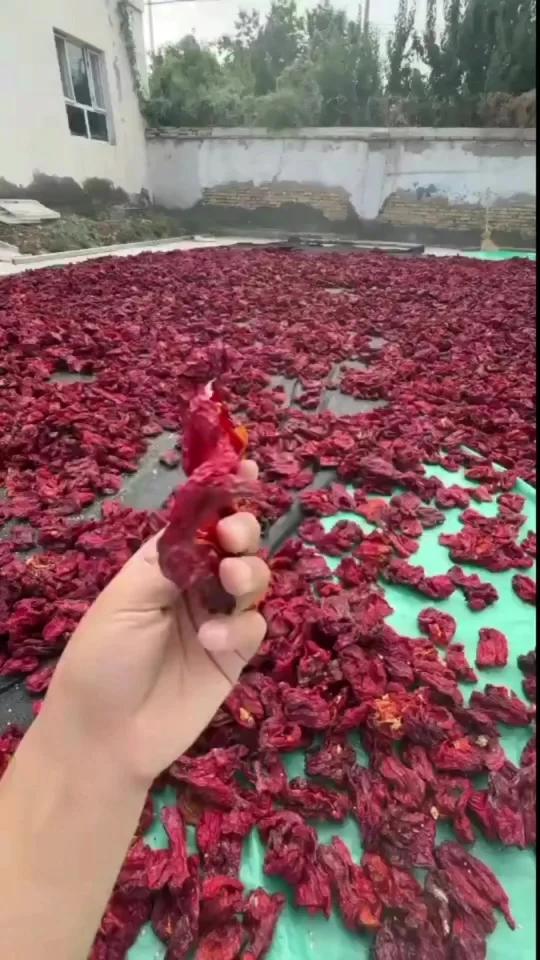 新疆奇台县四平头辣椒新货,适合辣皮子拌面