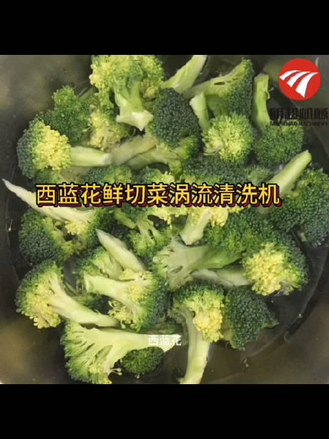 西蓝花鲜切菜涡流清洗机适用于各种切后的叶菜类蔬菜,白菜、黄瓜、菠菜、大头菜、青菜等叶菜类蔬
