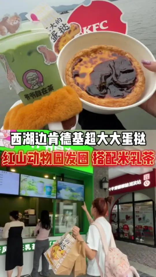 西湖边惊现超大大大蛋挞!35.9肯德基旗下茶饮 还有米乳茶 和红山动物园发圈!