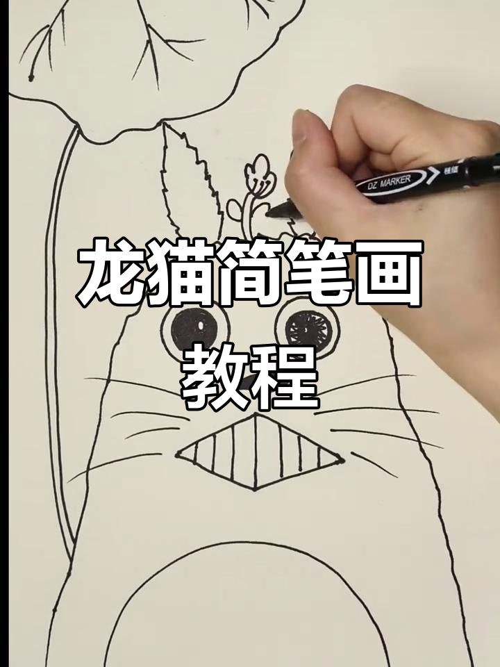 轻松学会龙猫画法,简单又好看