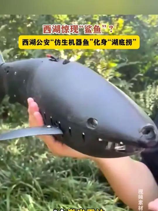 西湖惊现“鲨鱼”?西湖公安“仿生机器鱼”化身“湖底捞”