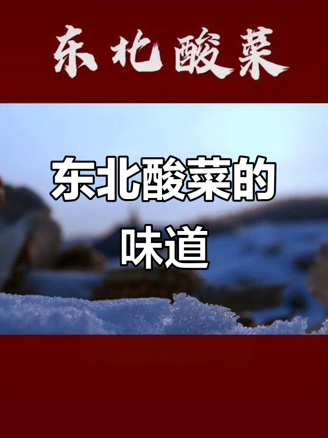 北方酸菜的独特魅力,寒冷中的美味发酵