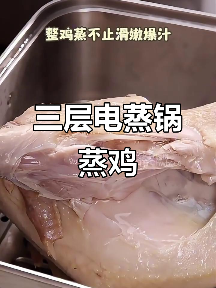 小熊电蒸锅三层大容量，五指毛桃蒸鸡轻松搞定