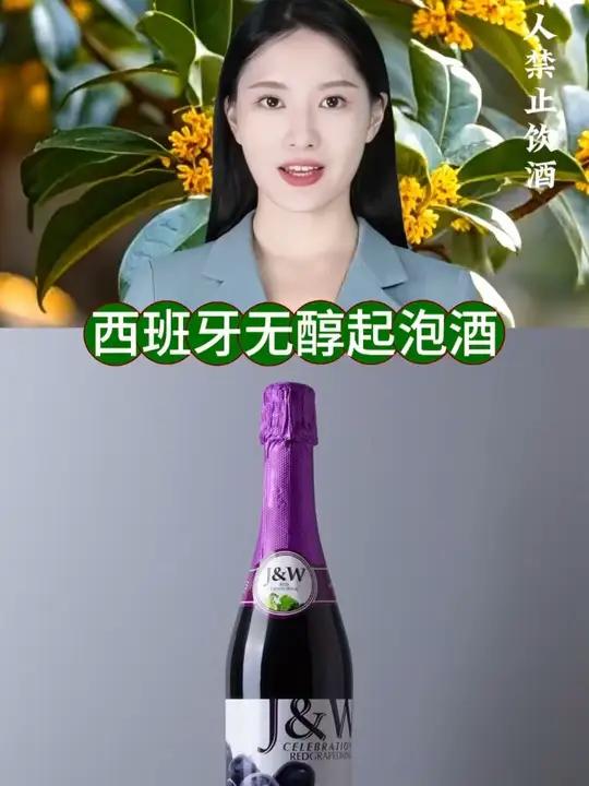艾加（JW）西班牙无酒精无醇甜型气起泡葡萄酒汁饮料原瓶进口
