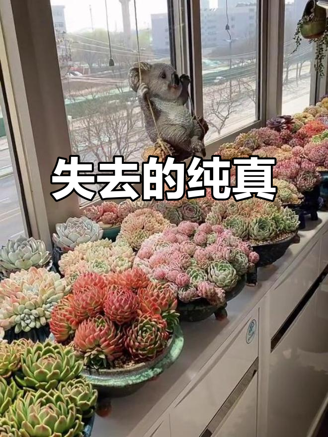 街景凄凉,曾经的快乐消失在利益与虚伪中