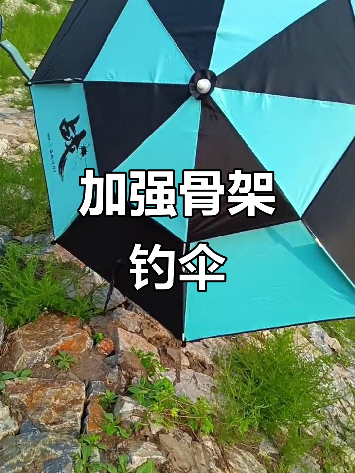 晴雨两用钓鱼伞,骨架加固更耐用