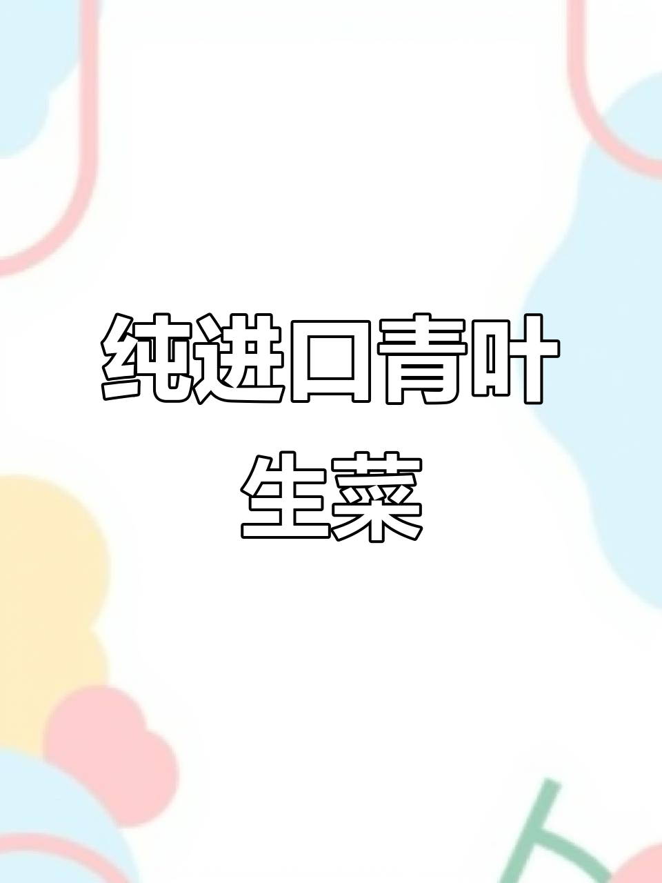 进口青叶生菜苗,全国供货,品质保证