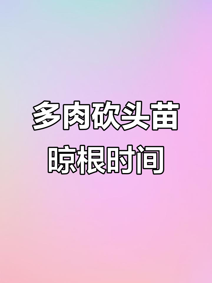 多肉植物砍头后晾根技巧,根系长成这样就能栽种