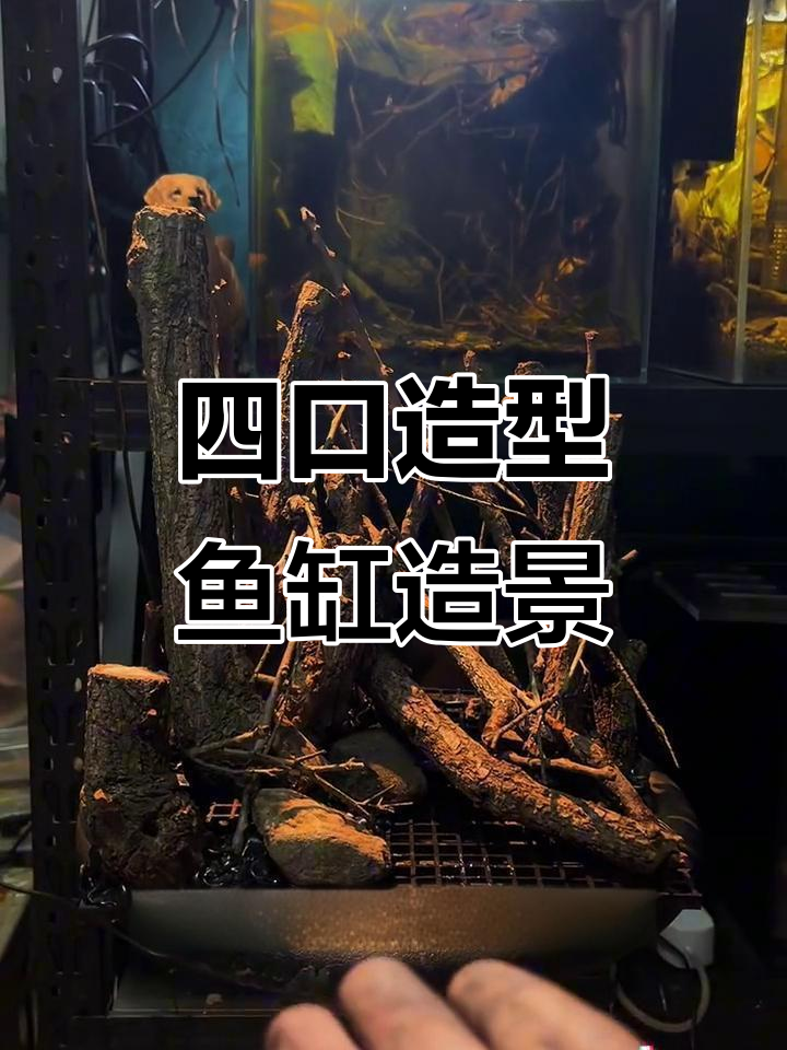 森林与荷兰风格鱼缸造景，细节设计感满满