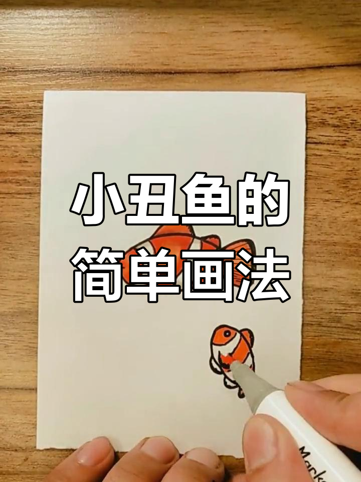 轻松学会画经典橙色小丑鱼
