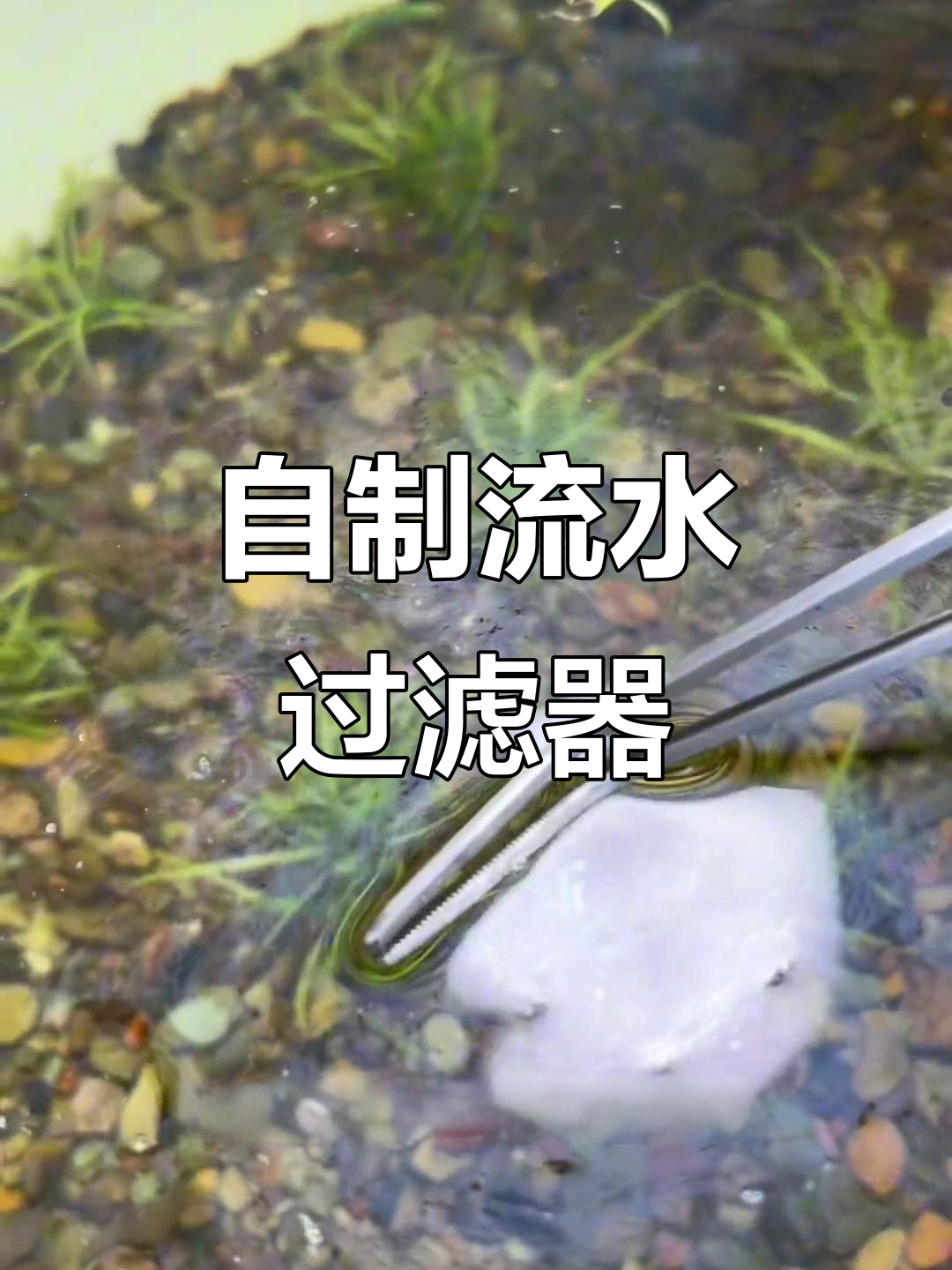 古法鱼缸改造：DIY过滤系统，水质大提升