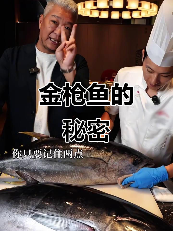 蓝鳍与黄鳍金枪鱼大揭秘,口感和价格差距竟然这么大!