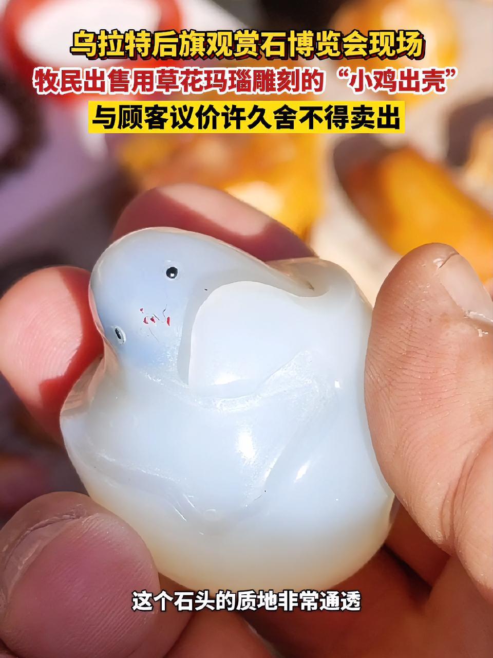 乌拉特后旗观赏石博览会 牧民出售用草花玛瑙雕刻的“小鸡出壳”,与顾客议价许久舍不得卖出 奇