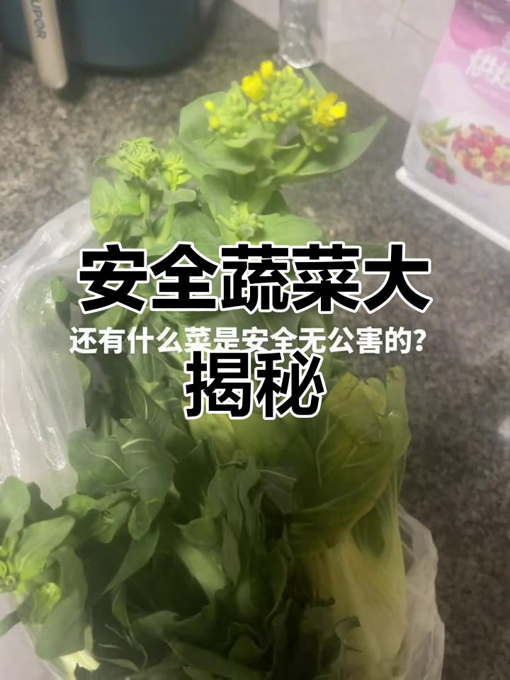买了青菜五六天居然开花,还有什么菜是安全无公害的?