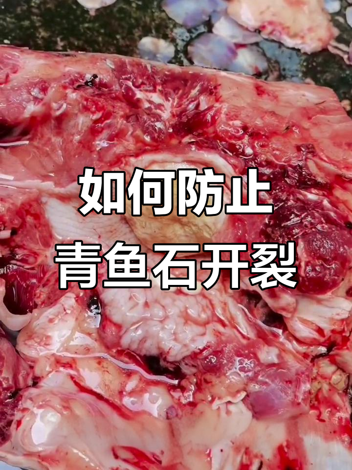 青鱼石如何防裂？从清洗到保养全攻略