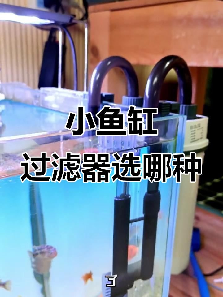 小鱼缸过滤器的最佳选择,壁挂式设计更省空间