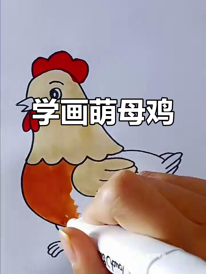 母鸡简笔画教学,轻松学会画可爱小鸡