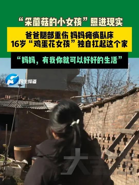 12月4日郑州,“采蘑菇的小女孩”照进现实,爸爸腿部重伤 妈妈瘫痪卧床,16岁“鸡蛋花女孩