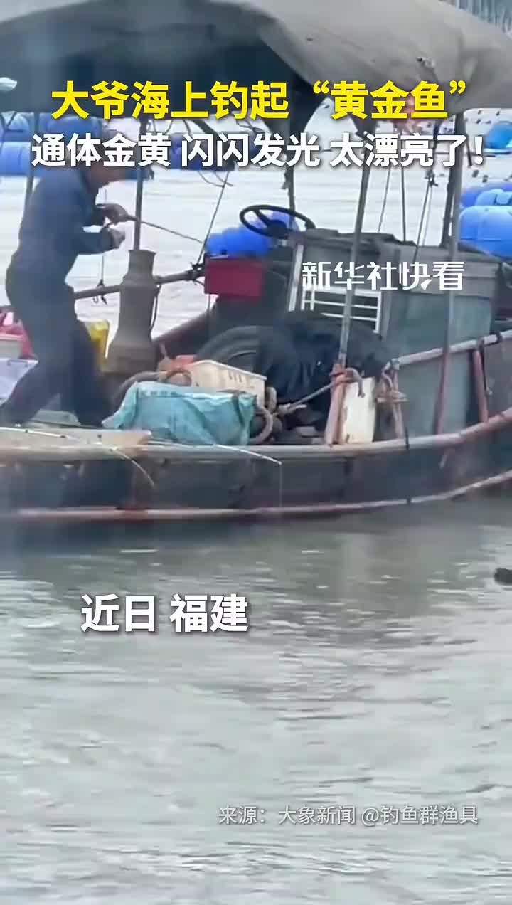 「视频」大爷海上钓起“黄金鱼”,通体金黄,闪闪发光,太漂亮了!