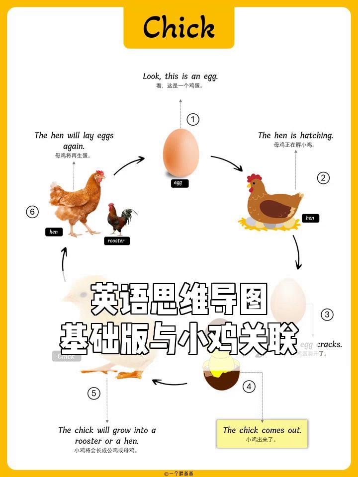英语思维导图,基础版与小鸡关联
