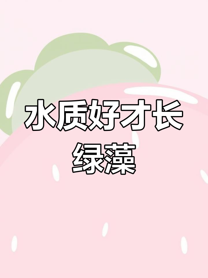 鱼缸青苔丝藻是水质好的标志,别急着清除